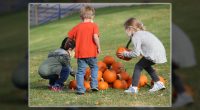 On Tuesday, October 29th the front grass area of the school will be magically transformed into Buckingham’s Pumpkin Patch! All students will have the opportunity to pick out a pumpkin […]