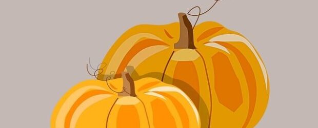 &nbsp; On Wednesday Oct. 28th students will get to experience the Pumpkin Patch right here at our School. Buddy classes will have the chance to pick a pumpkin and enjoy [&hellip;]